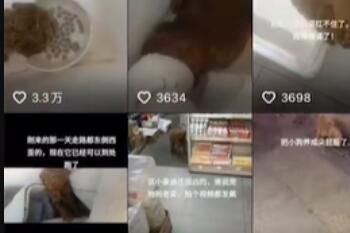 欢欢卤味店是什么梗