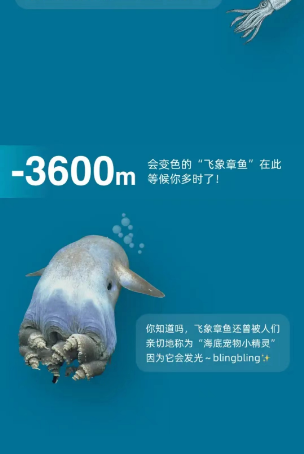 哪个动物可能看到泰坦尼克  淘宝每日一猜6.27泰坦尼克答案[多图]图片3