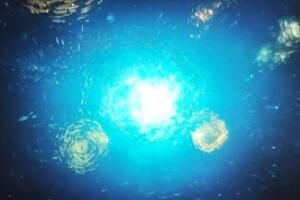 带你去看海底星空是什么意思