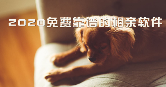 实用靠谱的相亲软件