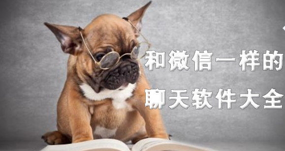和微信一样的聊天软件推荐