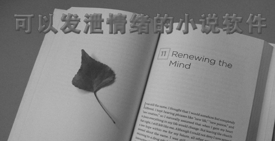 可以发泄情绪的小说软件