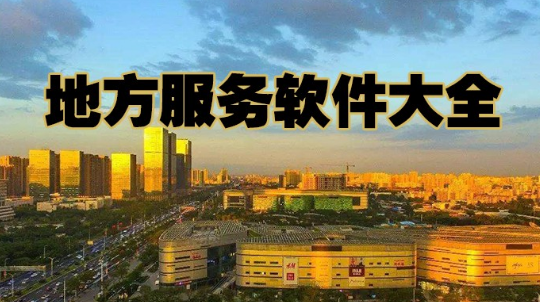 地方服务软件下载