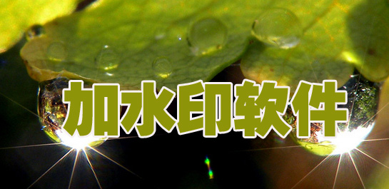 批量添加水印软件哪个好