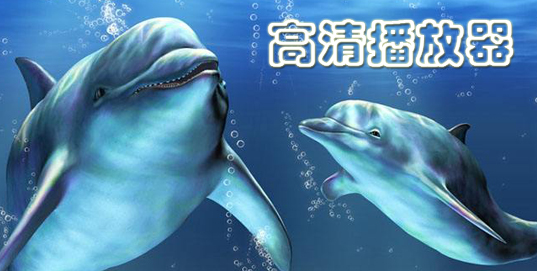 高清播放器排行榜
