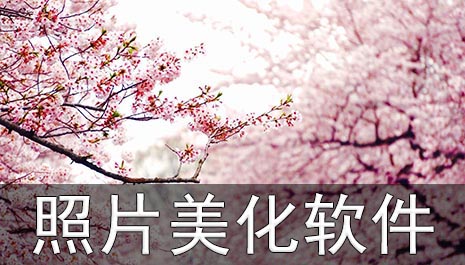 照片美化软件排行榜