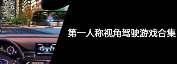 第一人称视角驾驶游戏合集