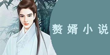 可以看类似赘婿的小说APP