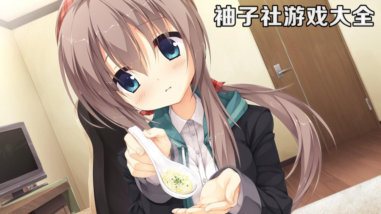 袖子社游戏大全
