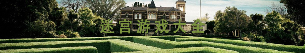 好玩的迷宫游戏大全