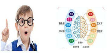 记忆力训练软件大全