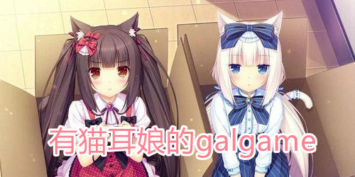 有猫耳娘的galgame