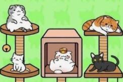 猫咪大冒险游戏合集