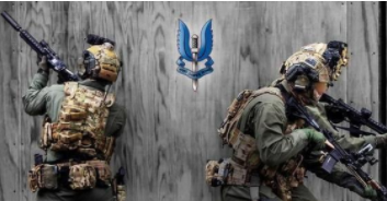 特种兵射击挑战赛游戏大全