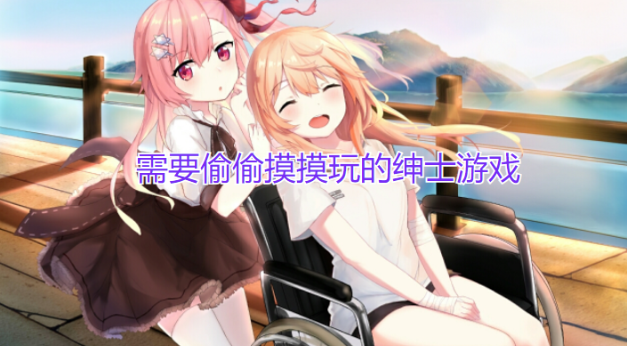 需要偷偷摸摸玩的绅士游戏