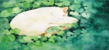 手机养猫游戏合集