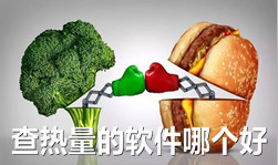食物热量查询软件合集