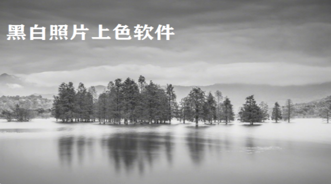 黑白照片上色软件大全