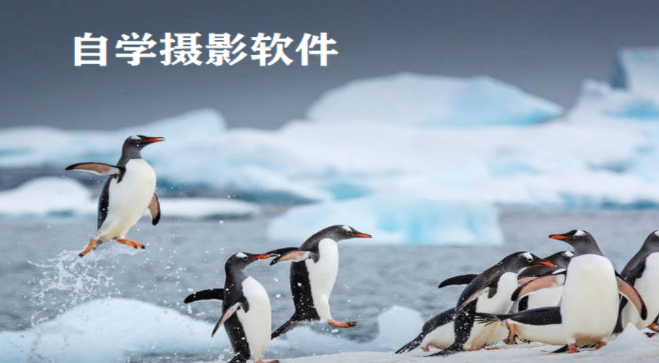 自学摄影软件大全