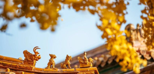 历史学习软件合集