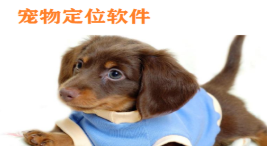 宠物定位软件大全