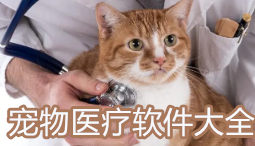 宠物医疗软件大全