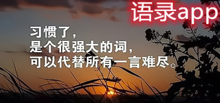 情感语录app大全