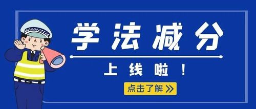 学法减分app合集