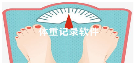 体重数据记录app大全