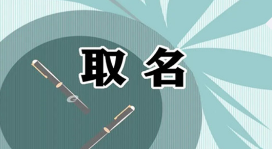 好用的取名APP有哪些