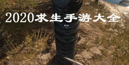 2020求生手游大全