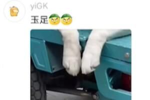 玉足是什么梗