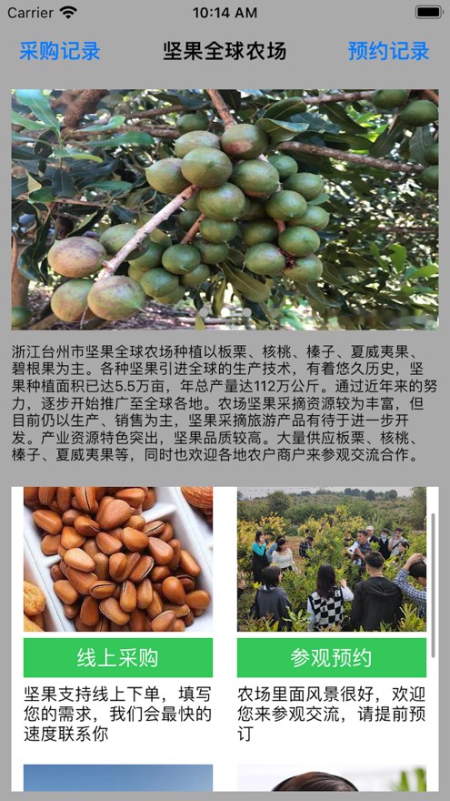 坚果全球