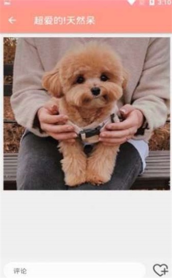 萌物集app