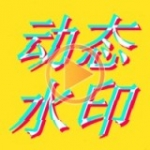 动态水印相机