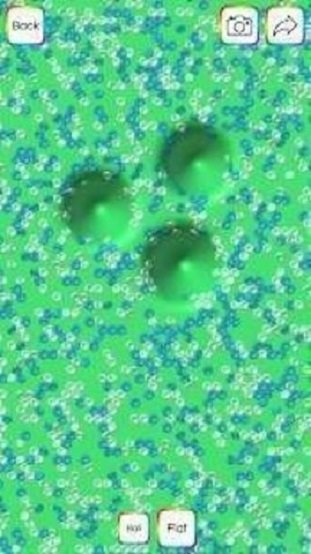 虚拟粘液app