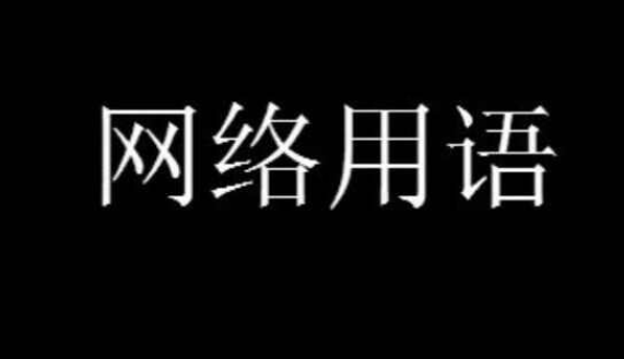 网络用语宾周是什么意思