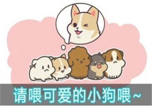 喂养小狗app