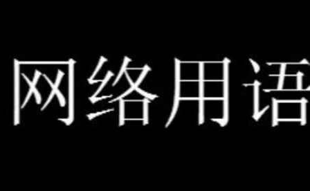 宝宝辅食是什么意思网络用语