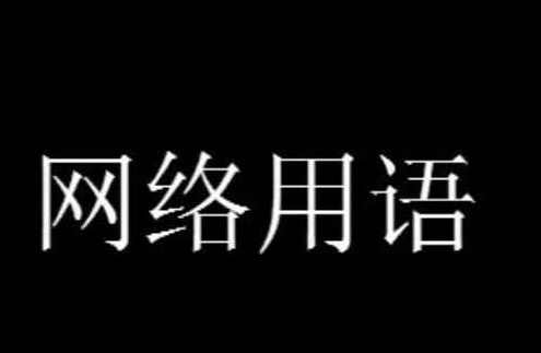 i人是什么意思网络用语