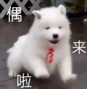 哈基米表情包大全分享