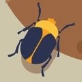 甲虫推便便app