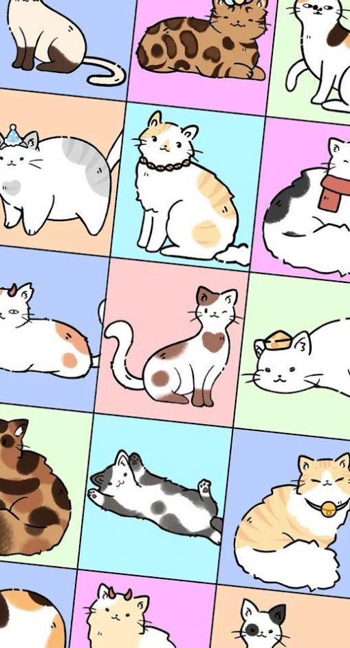 萌猫制造商app