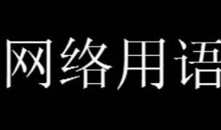 汉堡包的十二种形态是什么意思