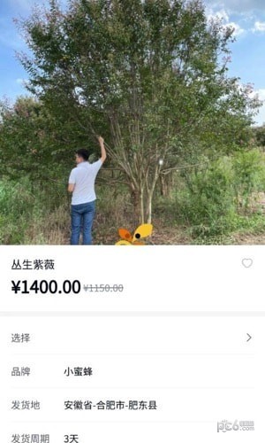 小蜜蜂园林