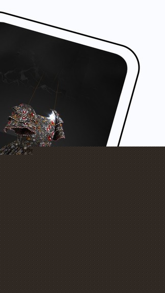 FN定制app