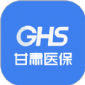 甘肃医保公共服务平台