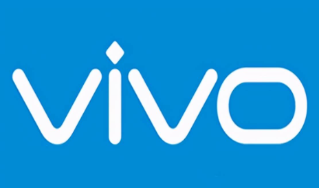 vivoX100发布时间及配置详情