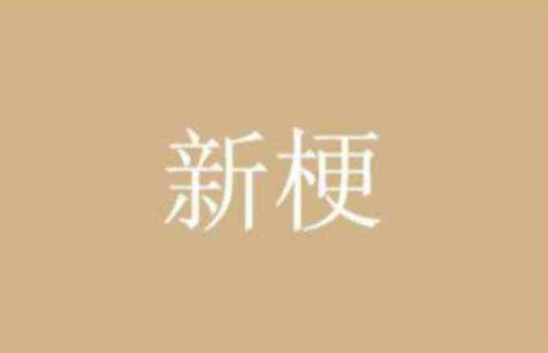 空耳什么意思网络用语