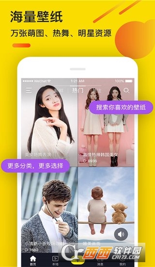 熊猫动态壁纸(qq微信半透明壁纸)